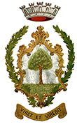 stemma di Bozzolo